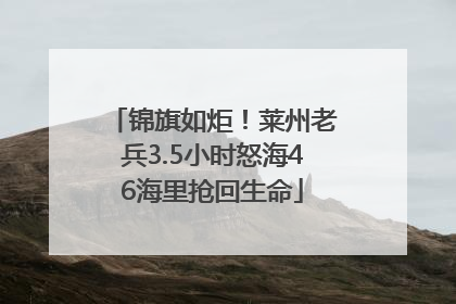 锦旗如炬！莱州老兵3.5小时怒海46海里抢回生命