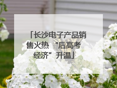 长沙电子产品销售火热 “后高考经济”升温