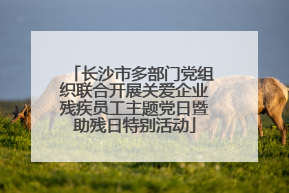 长沙市多部门党组织联合开展关爱企业残疾员工主题党日暨助残日特别活动