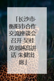 长沙市·衡阳市合作交流座谈会召开 吴桂英刘越高讲话 朱健出席