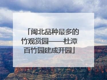 闽北品种最多的竹观赏园——杜潭百竹园建成开园