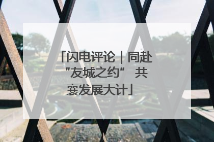 闪电评论｜同赴“友城之约” 共襄发展大计
