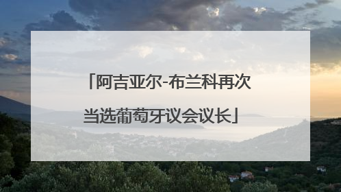 阿吉亚尔-布兰科再次当选葡萄牙议会议长