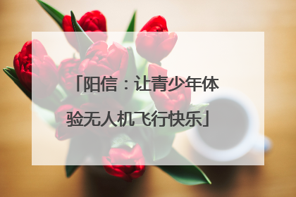 阳信：让青少年体验无人机飞行快乐