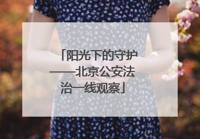阳光下的守护——北京公安法治一线观察