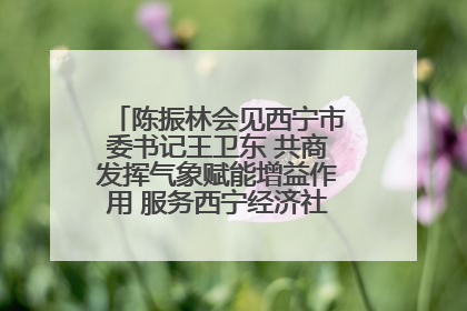 陈振林会见西宁市委书记王卫东 共商发挥气象赋能增益作用 服务西宁经济社会高质量发展