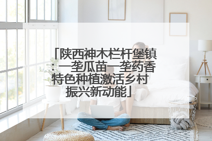陕西神木栏杆堡镇：一垄瓜苗一垄药香 特色种植激活乡村振兴新动能