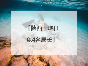 陕西一地任免4名局长