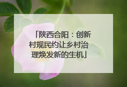 陕西合阳：创新村规民约让乡村治理焕发新的生机