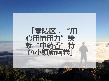 零陵区：“用心用情用力”绘就“中药香”特色小镇新画卷