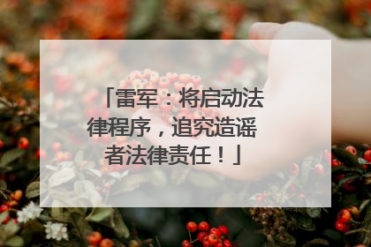 雷军：将启动法律程序，追究造谣者法律责任！