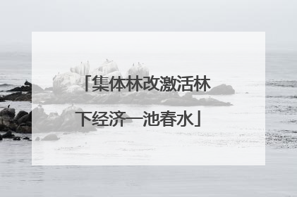 集体林改激活林下经济一池春水