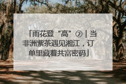 雨花登“高”②｜当非洲紫茶遇见湘江，订单里藏着共富密码