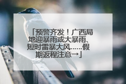 预警齐发！广西局地迎暴雨或大暴雨、短时雷暴大风……假期返程注意→