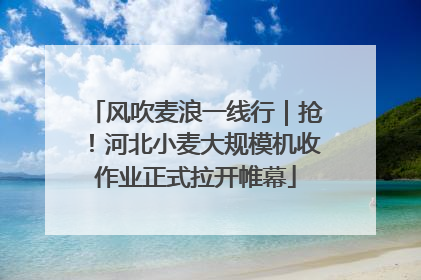 风吹麦浪一线行｜抢！河北小麦大规模机收作业正式拉开帷幕