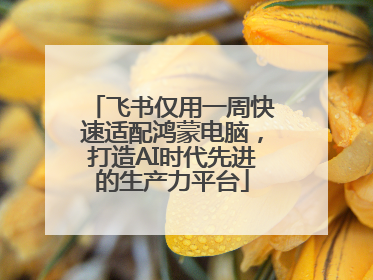 飞书仅用一周快速适配鸿蒙电脑，打造AI时代先进的生产力平台