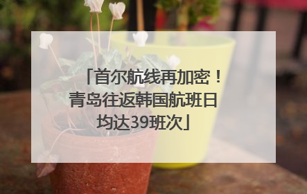 首尔航线再加密！青岛往返韩国航班日均达39班次