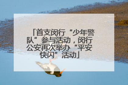 首支闵行“少年警队”参与活动，闵行公安再次举办“平安快闪”活动