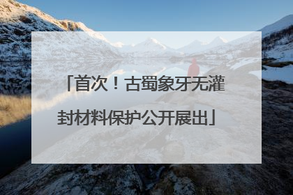 首次！古蜀象牙无灌封材料保护公开展出