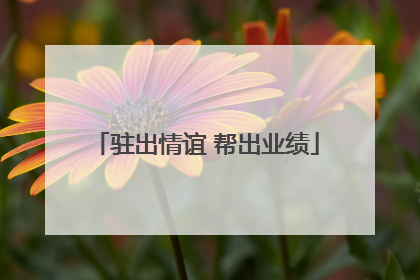驻出情谊 帮出业绩