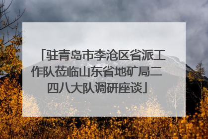 驻青岛市李沧区省派工作队莅临山东省地矿局二四八大队调研座谈