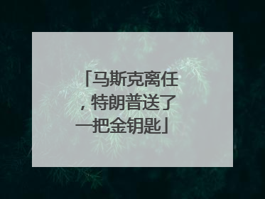 马斯克离任，特朗普送了一把金钥匙