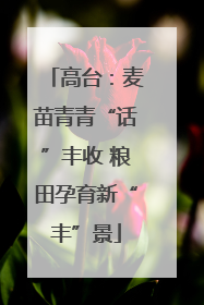 高台：麦苗青青“话”丰收 粮田孕育新“丰”景