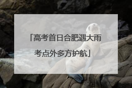 高考首日合肥遇大雨 考点外多方护航