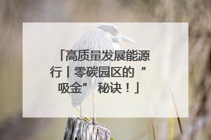 高质量发展能源行丨零碳园区的“吸金” 秘诀！