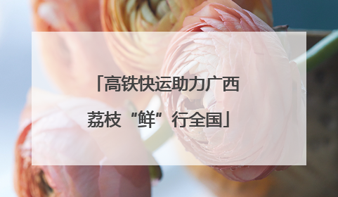 高铁快运助力广西荔枝“鲜”行全国