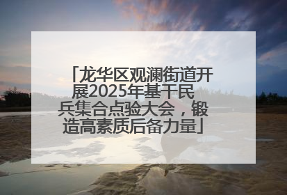 龙华区观澜街道开展2025年基干民兵集合点验大会，锻造高素质后备力量