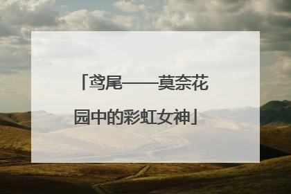 鸢尾——莫奈花园中的彩虹女神