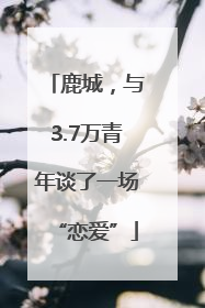 鹿城，与3.7万青年谈了一场“恋爱”