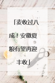 麦收过八成！安徽夏粮有望再迎丰收