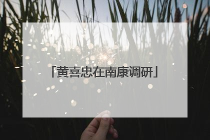 黄喜忠在南康调研