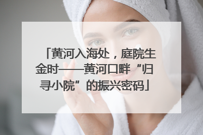 黄河入海处，庭院生金时——黄河口畔“归寻小院”的振兴密码