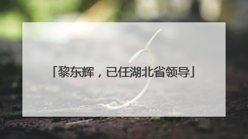 黎东辉，已任湖北省领导