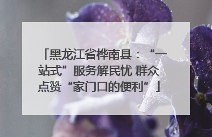 黑龙江省桦南县：“一站式”服务解民忧 群众点赞“家门口的便利”