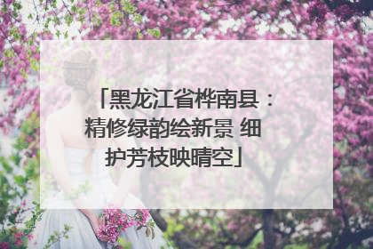 黑龙江省桦南县：精修绿韵绘新景 细护芳枝映晴空