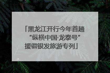 黑龙江开行今年首趟“纵横中国·龙泰号”援疆银发旅游专列