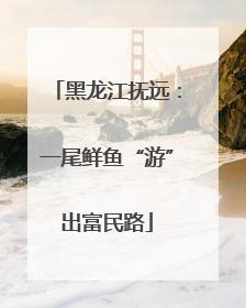 黑龙江抚远：一尾鲜鱼“游”出富民路
