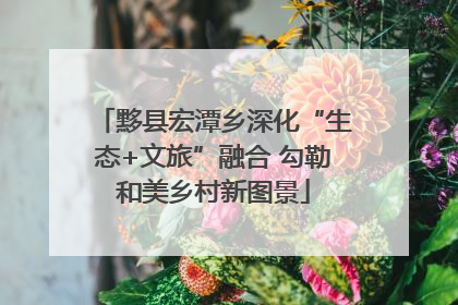 黟县宏潭乡深化“生态+文旅”融合 勾勒和美乡村新图景