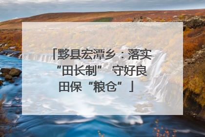 黟县宏潭乡：落实“田长制” 守好良田保“粮仓”