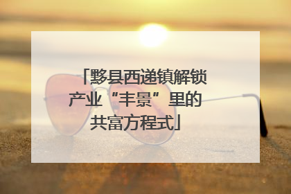 黟县西递镇解锁产业“丰景”里的共富方程式