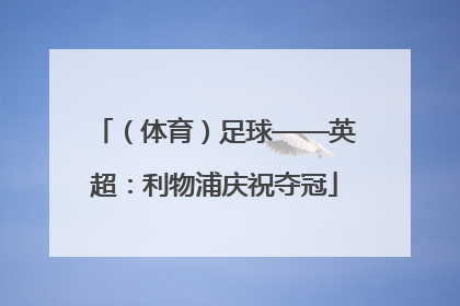 （体育）足球——英超：利物浦庆祝夺冠