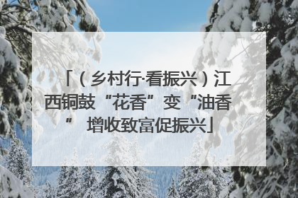 (乡村行·看振兴)江西铜鼓“花香”变“油香” 增收致富促振兴