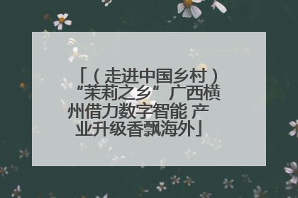 （走进中国乡村）“茉莉之乡”广西横州借力数字智能 产业升级香飘海外