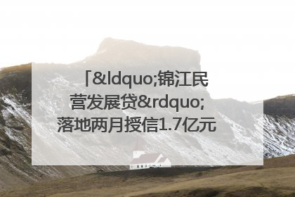 “锦江民营发展贷”落地两月授信1.7亿元，惠及118家民企