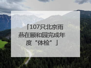 107只北京雨燕在颐和园完成年度“体检”