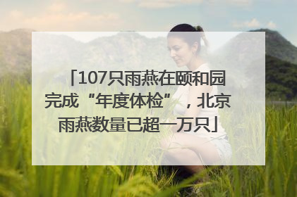 107只雨燕在颐和园完成“年度体检”，北京雨燕数量已超一万只